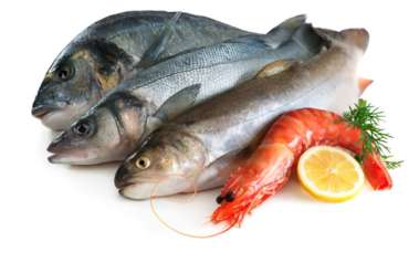 propiedades-generales-de-los-acidos-omega-3